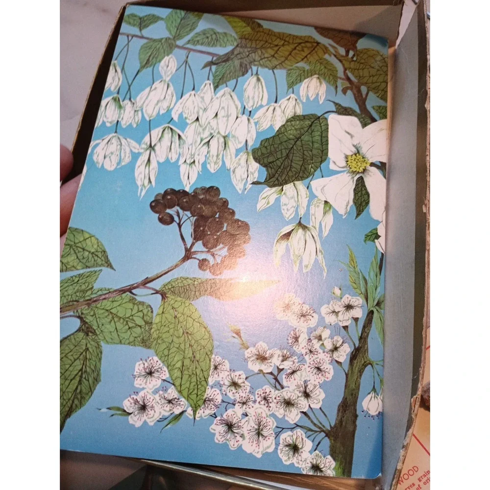 Vintage Nature Programa‎ Prehistoric Life Flowering Trees and Shrubs Collectible - Picture 14 of 16